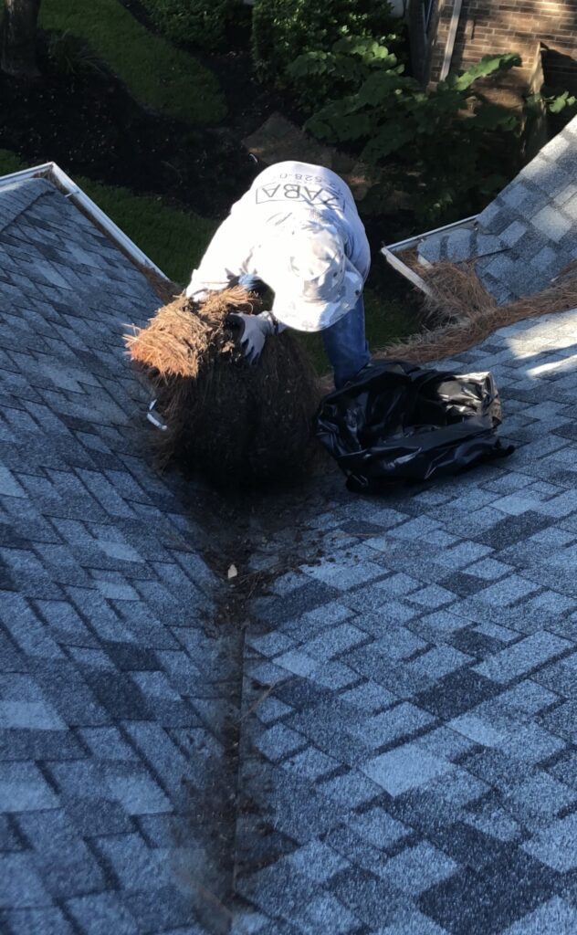 Houston Texas Gutter Cleaning